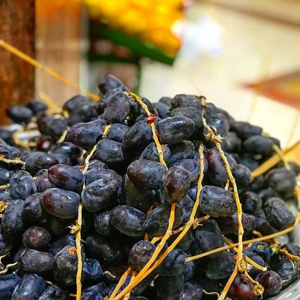 Mazafati Dates Packaging 3